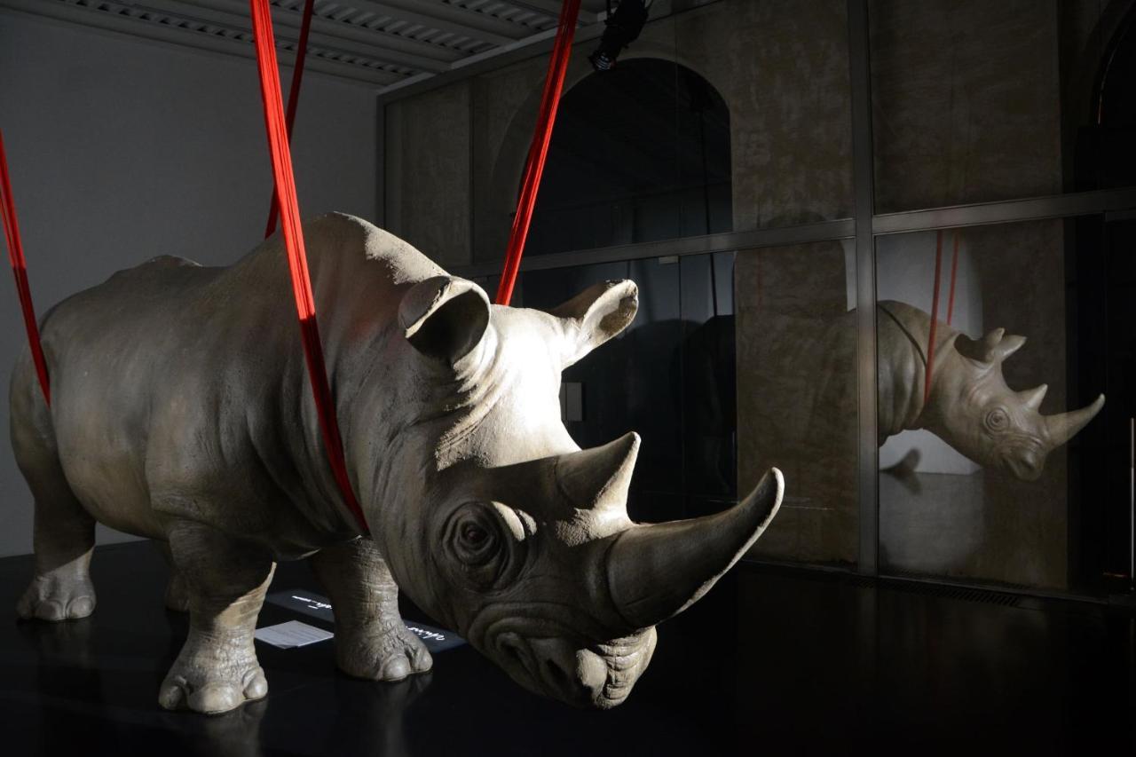 Aparthotel Rhinoceros Roma Esterno foto